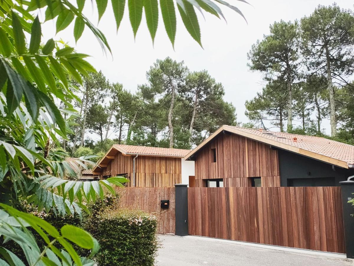 Salty Woods Lodge, Chambre D'Hotes 뷰부코레방 외부 사진