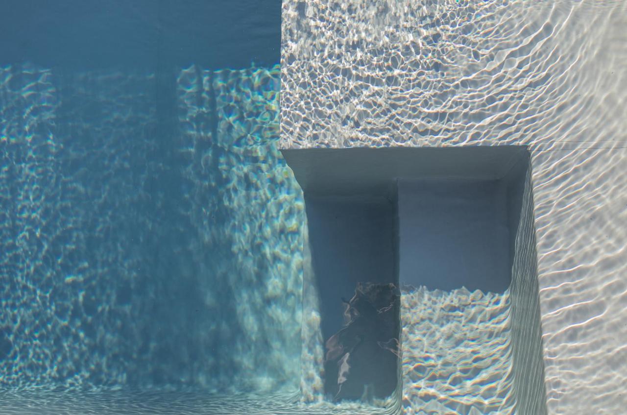 Salty Woods Lodge, Chambre D'Hotes 뷰부코레방 외부 사진